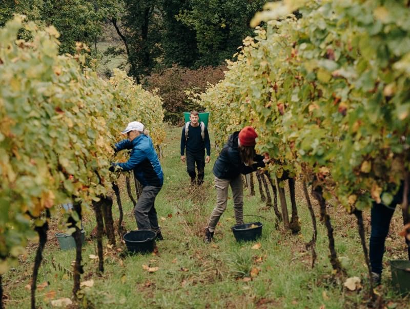 Weingut Höfler – JGA in Michelbach, Franken