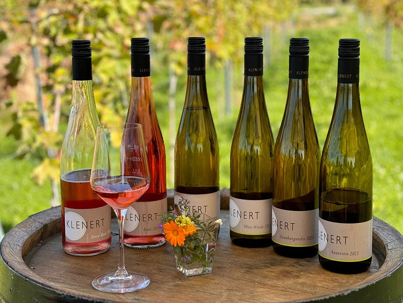 Klenerts Kraichgaurunde – JGA im Kraichgau mit Weingut Klenert